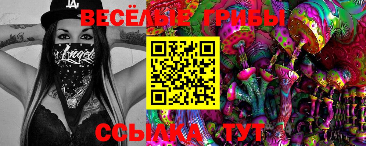 Псилоцибиновые грибы мухоморы  Вход с VPN  Новоалександровск 