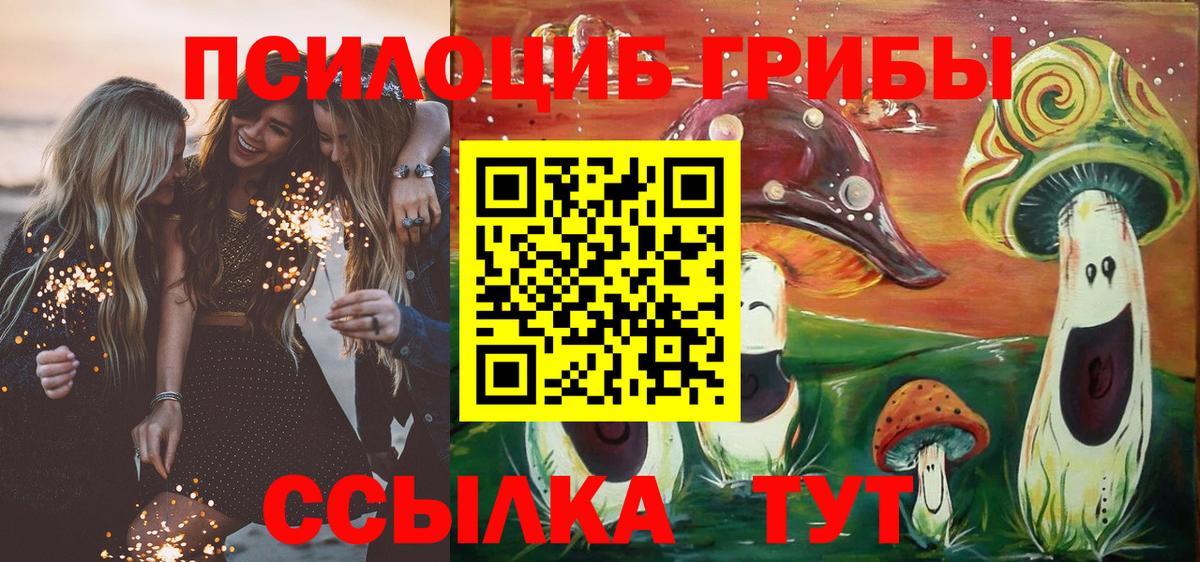 Псилоцибиновые грибы мицелий Новоалександровск